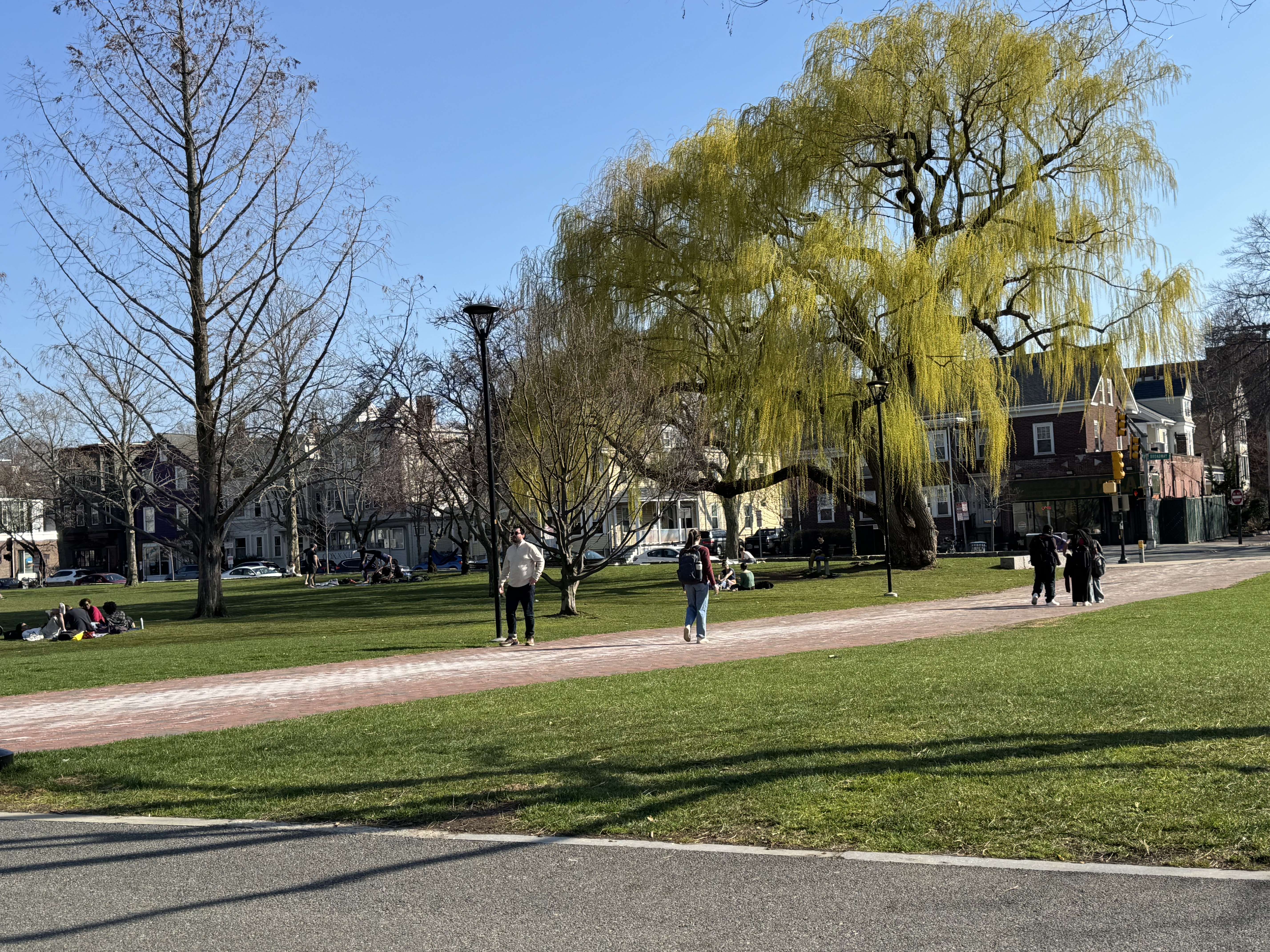 Cambridge Library Lawn
